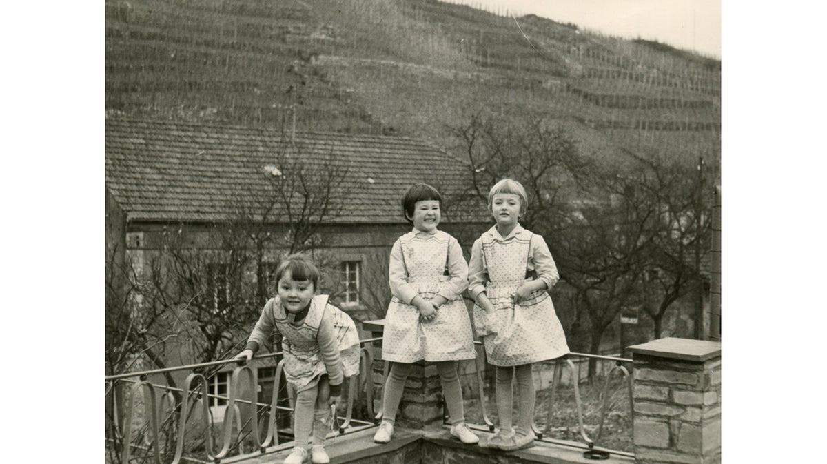 Hild: saving the final terraces of the Obermosel: and one of Europe&#39;s oldest grapes