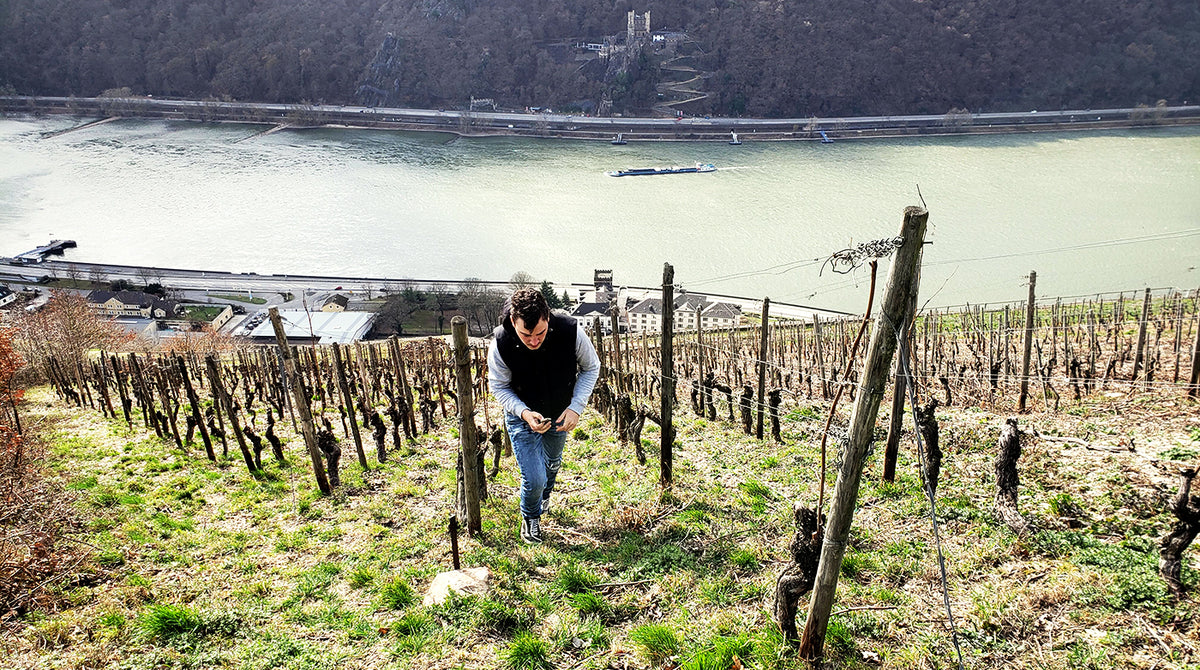 Saalwaechter: the 2022 Pinot Noirs of Ingelheim: and the *rare* Grand Cru Silvaners