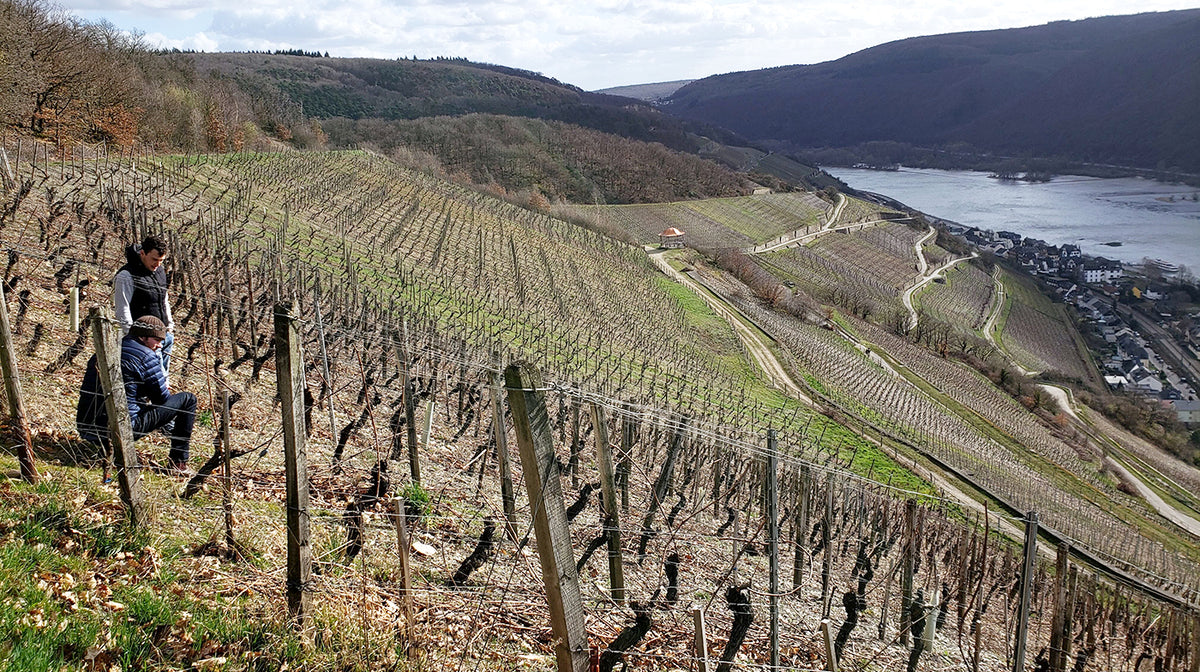 Saalwaechter: the 2022 Pinot Noirs of Ingelheim: and the *rare* Grand Cru Silvaners