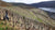 Saalwaechter: the 2022 Pinot Noirs of Ingelheim: and the *rare* Grand Cru Silvaners