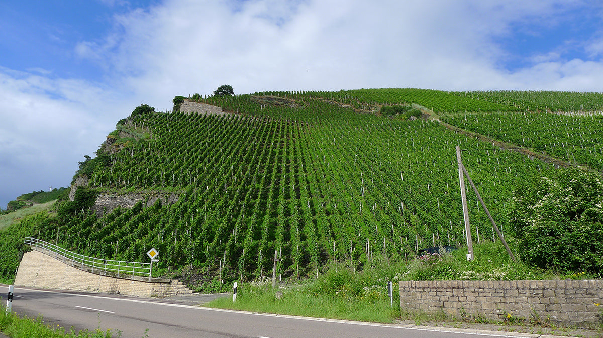22 Grand Cru Dry Riesling: the dry Mosel comes of age