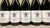 Saalwaechter: the 2020 Pinot Noirs: and a Grand Cru Silvaner "Grauer Stein"