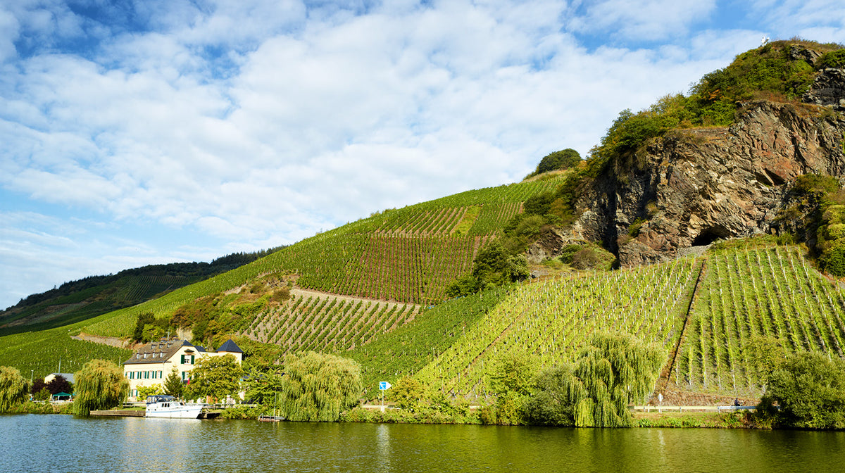 Max Kilburg Grand Cru Dry Rieslings: &quot;...a hugely exciting collection of 2023...&quot;