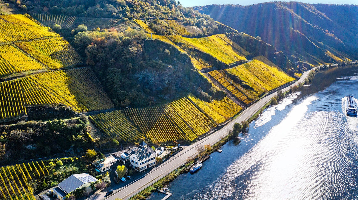 22 Grand Cru Dry Riesling: the dry Mosel comes of age