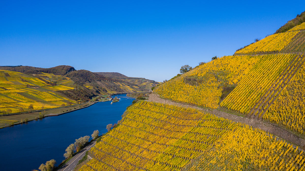 Max Kilburg Grand Cru Dry Rieslings: &quot;...a hugely exciting collection of 2023...&quot;