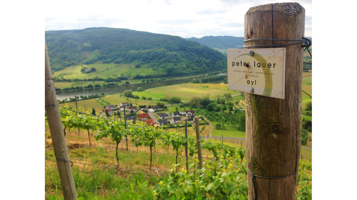 Lauer Riesling No.16: I *loved* it - some critics didn&#39;t: Lauer &quot;Points Study&quot;